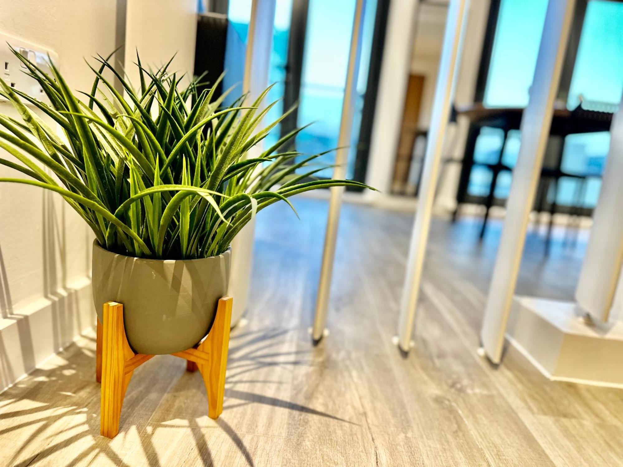 City Centre, Top Floor Apartment, Two Balconies — Photos 2